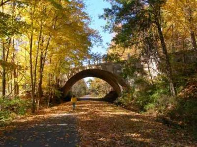 Watch the Leaves Turn Image